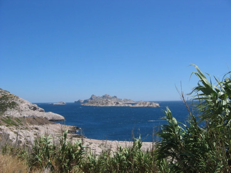 a sea view with plants and rocks in the water