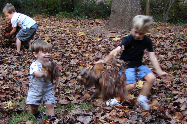 some s are playing in the leaves while other boys watch