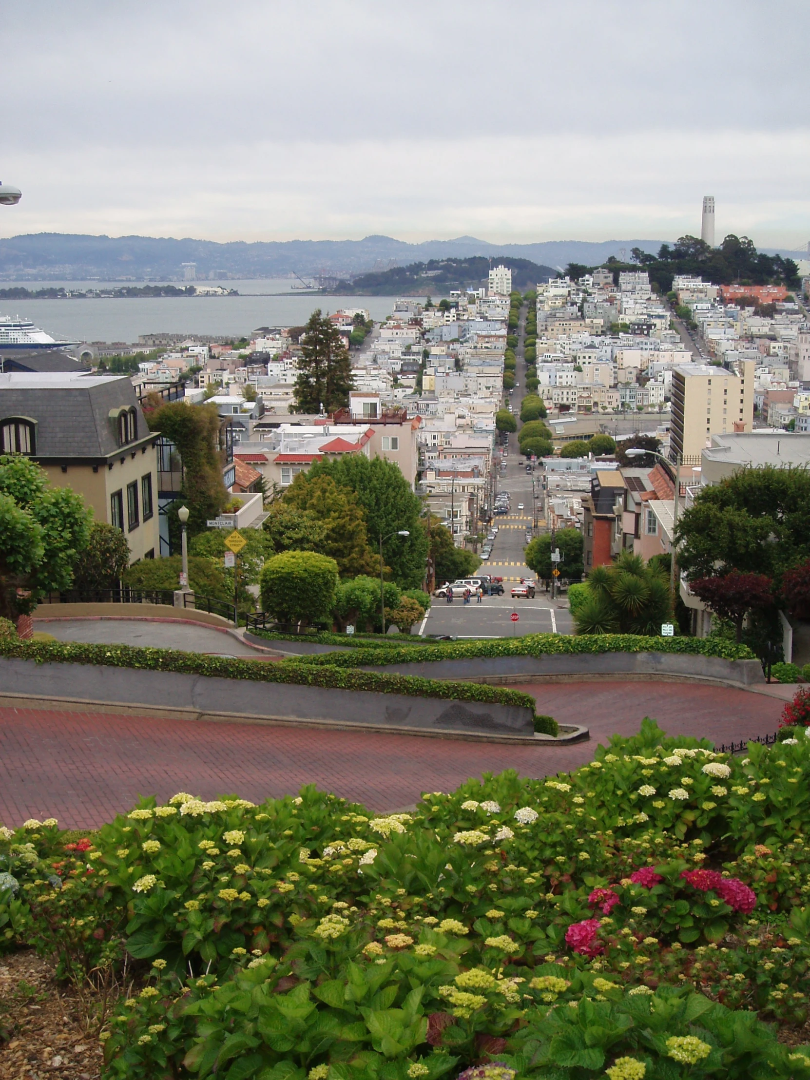 a city with lots of flowers on the street