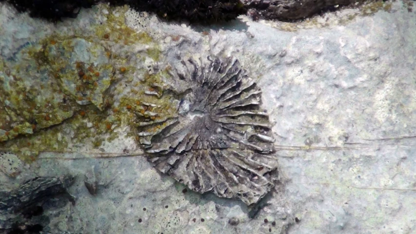 the structure of some sort on a rock by water