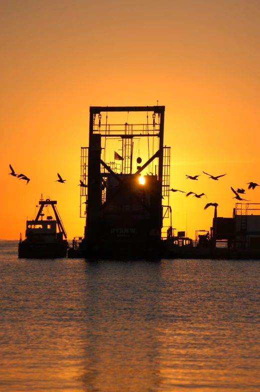 birds fly over the ocean as sun sets in the distance