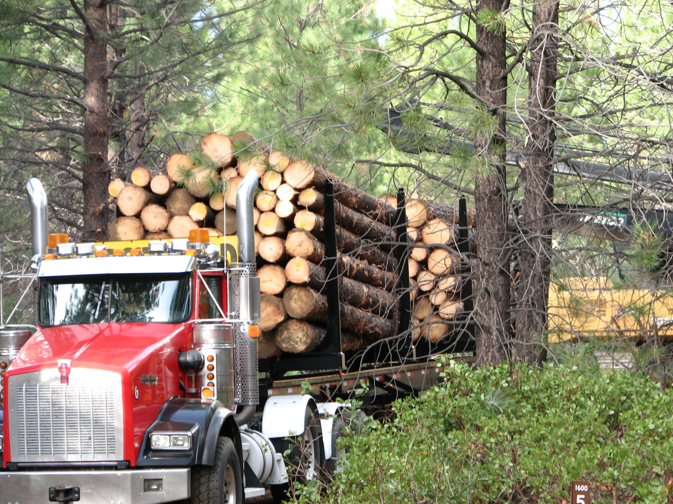 there is a large semi truck carrying many logs