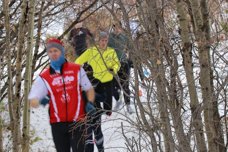 three skiers on the slopes skiing through the woods