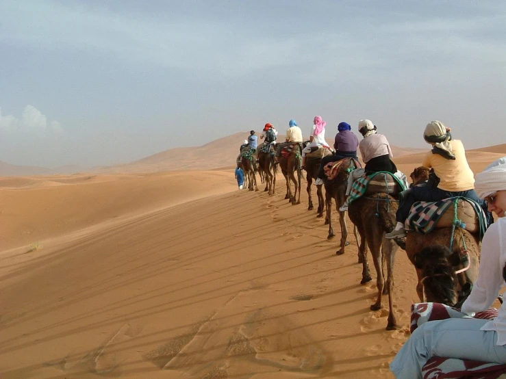 a group of people riding camels in the desert