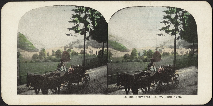 the illustration is of horses and carriages with trees