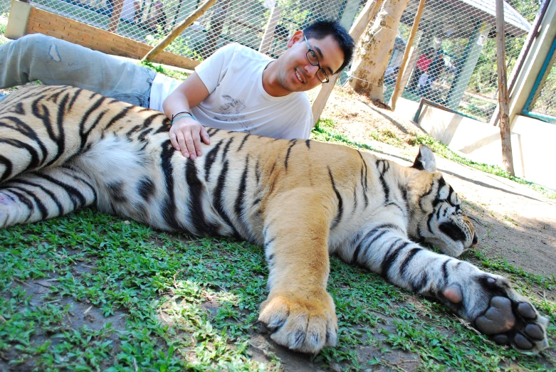 a man posing next to a sleeping tiger in the grass