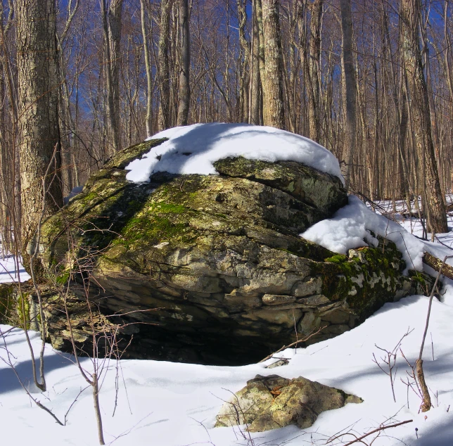 a large boulder covered in green moss in the snow