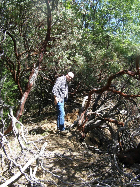 a man that is walking through the dirt near trees