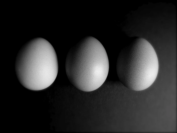 three eggs laid out in black and white