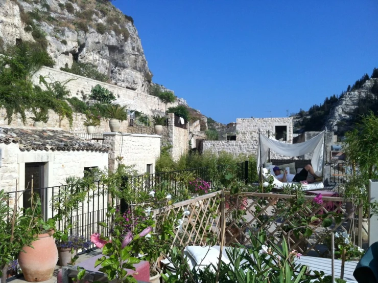 a group of bushes and flower pot sitting next to some houses