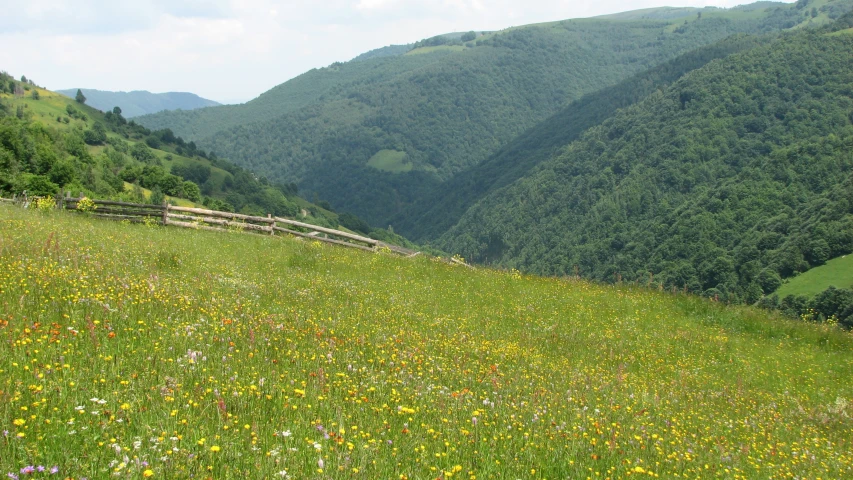 a hillside with mountains in the background