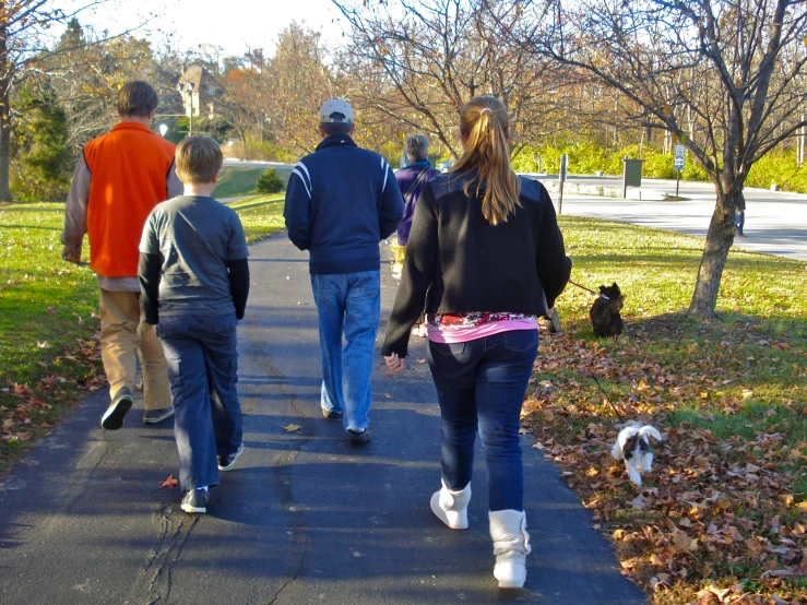 several people walk down a sidewalk with a dog near the grass