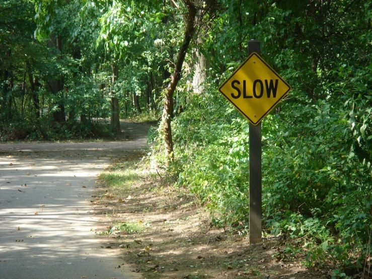 a yellow slow sign stands on the side of a path