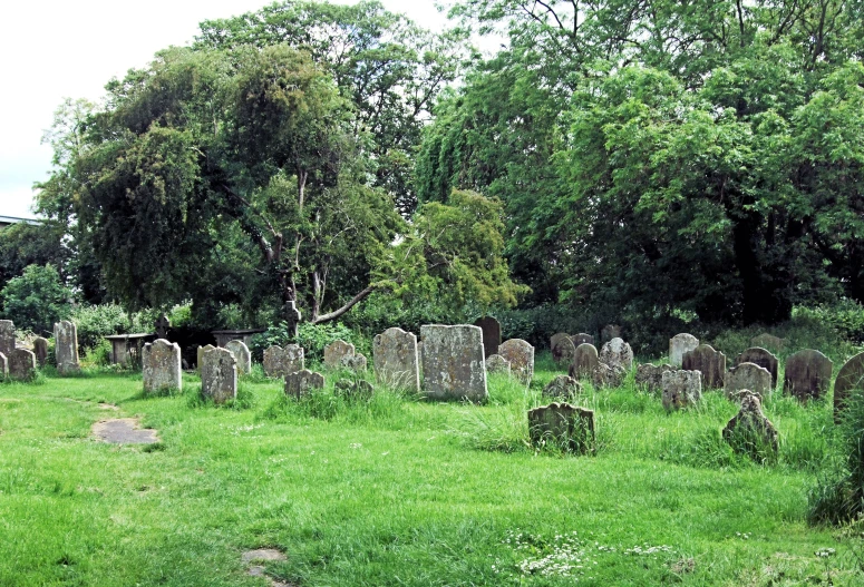 a cemetery with headstones surrounded by trees