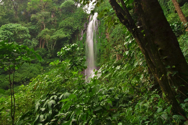 a small waterfall is shown in the middle of trees