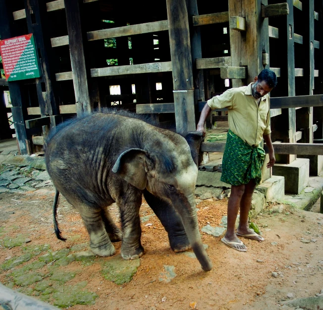 an elephant standing next to a woman on a dirt ground