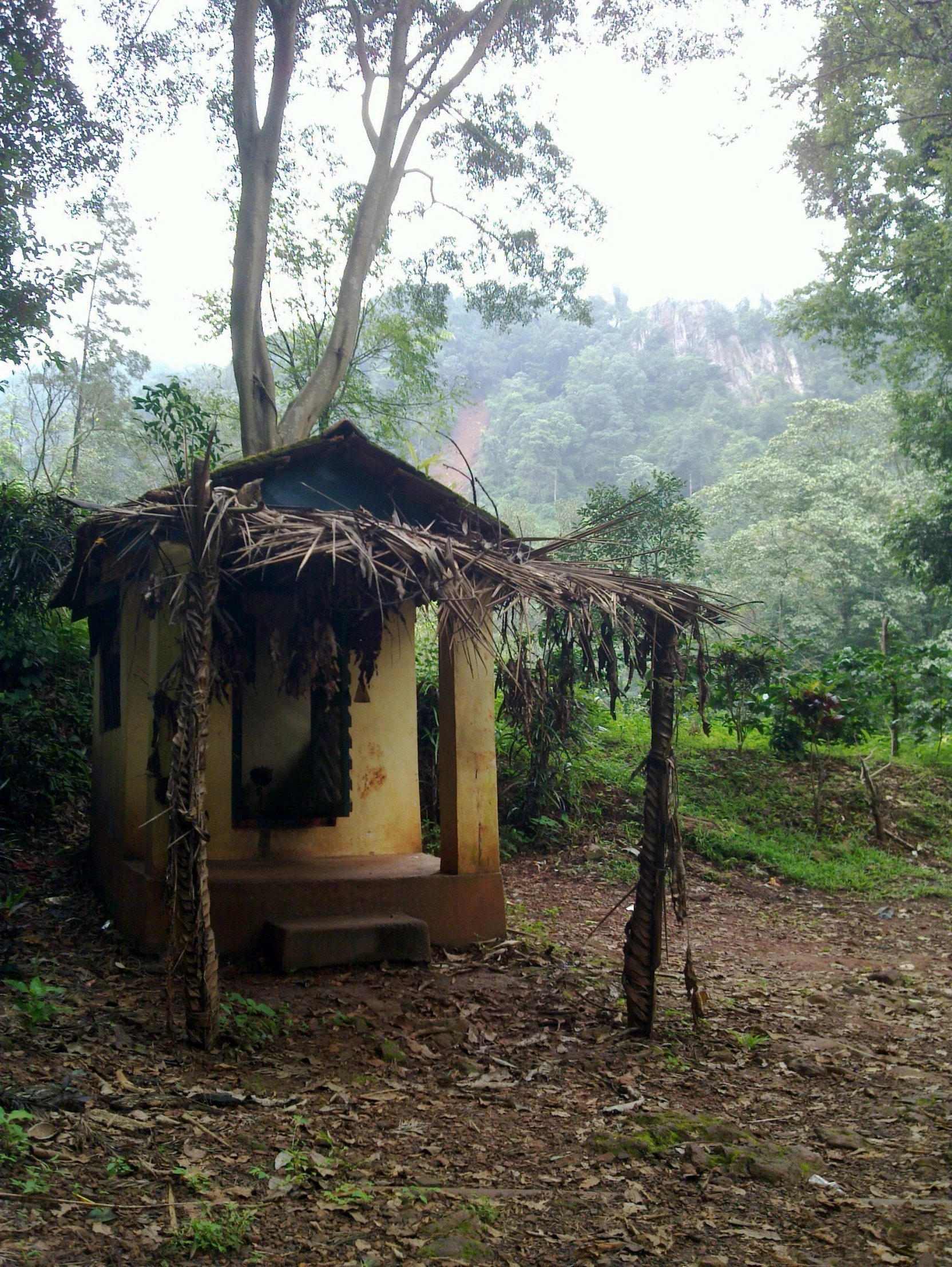 a small hut set in the middle of trees