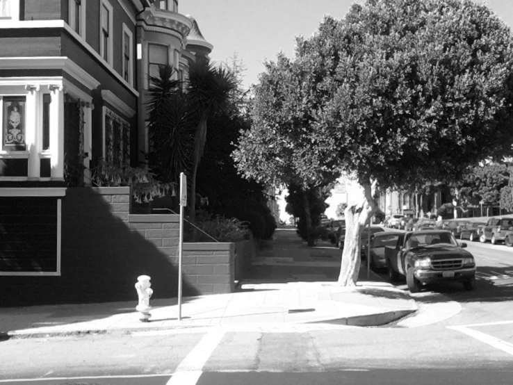 an intersection with cars on it and large trees