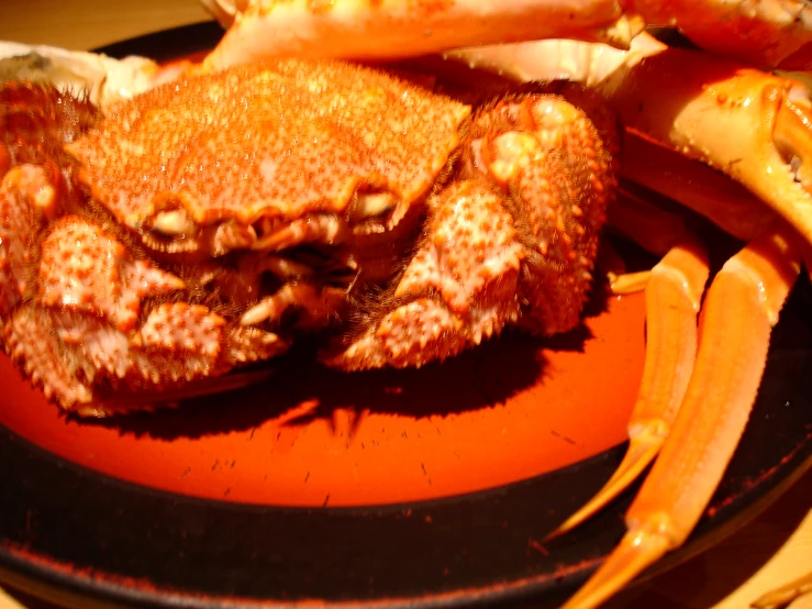 crab legs and claws sitting on an orange plate