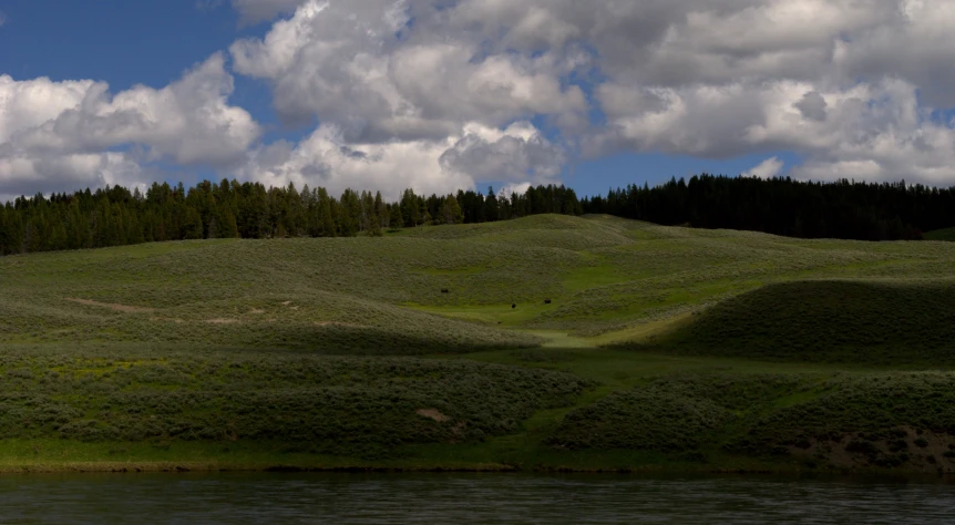 lush green hillside with clouds in the background