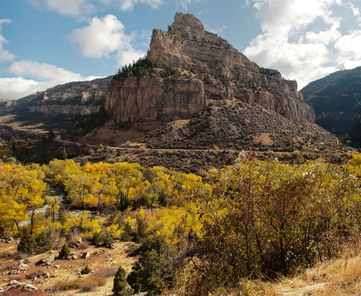 the valley is dotted with mountains and pine trees