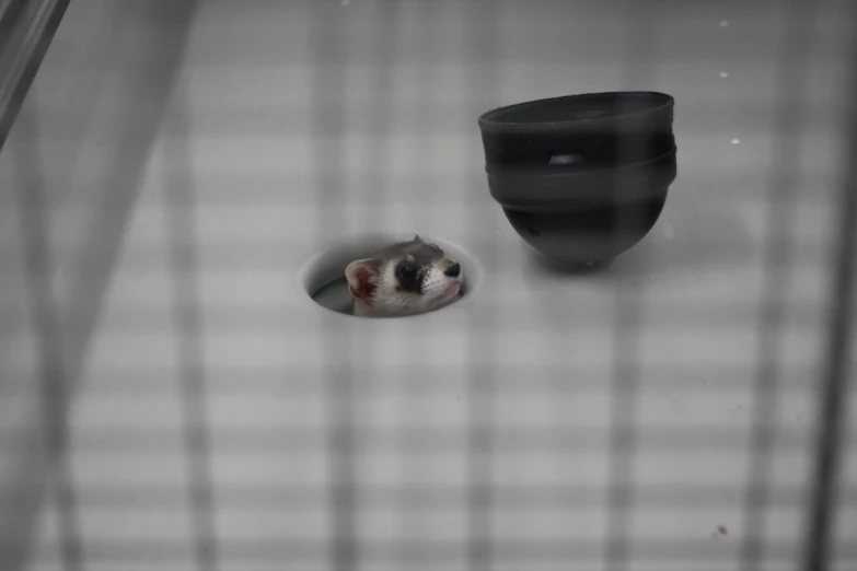 an odd looking image of a small mouse by a pot