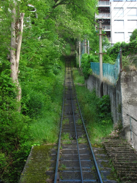 a railroad track running between some buildings and trees