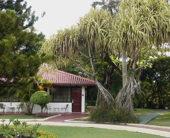 small building with red roof near palm trees