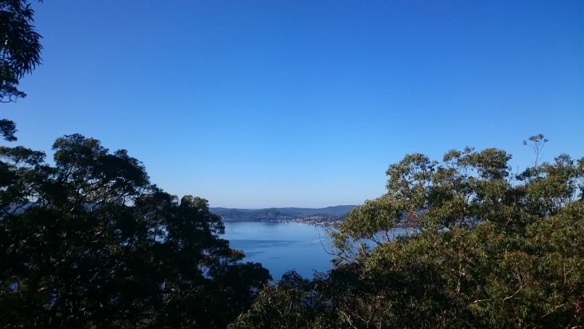 view from hill overlooking lake and trees