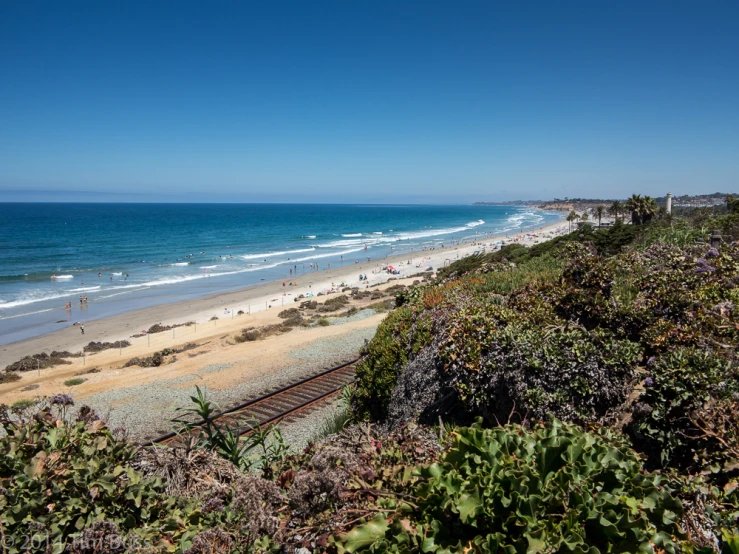 a train traveling through a lush green next to the ocean