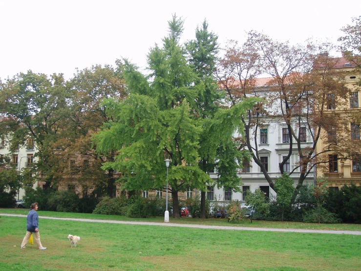 a man walking his dog in the park