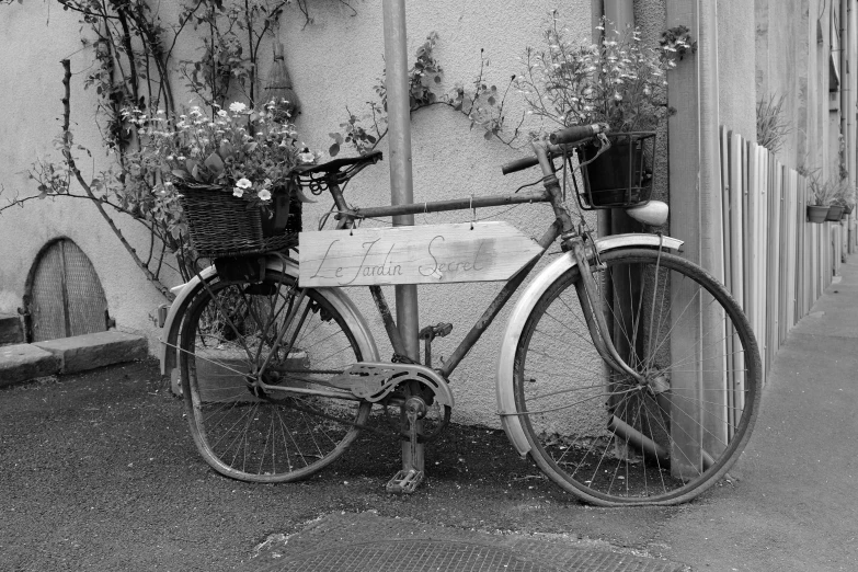 black and white pograph of old bicycle with flower baskets