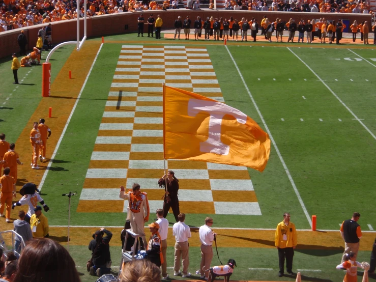 a football field with a flag in the middle of it