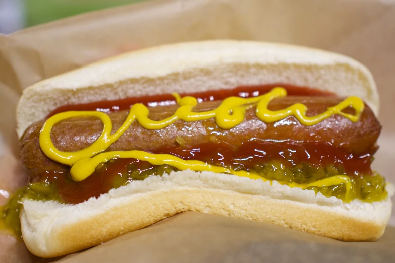 a dog with ketchup, mustard and relish is displayed in a basket