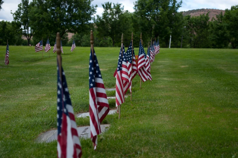 american flags laying next to each other in a field