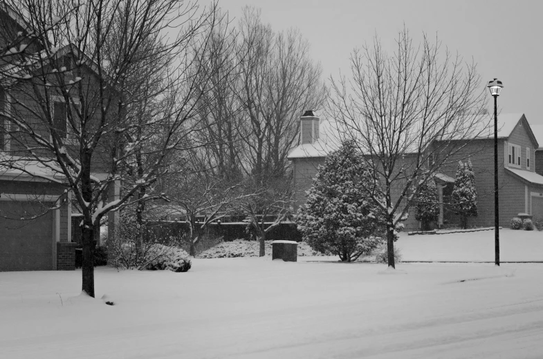 a black and white po of the front yard in winter