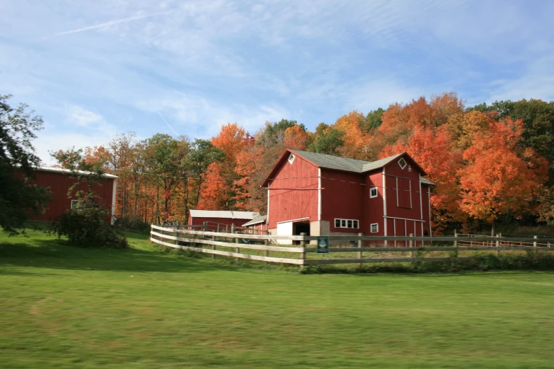 a farm building surrounded by fall foliage with orange trees in the background