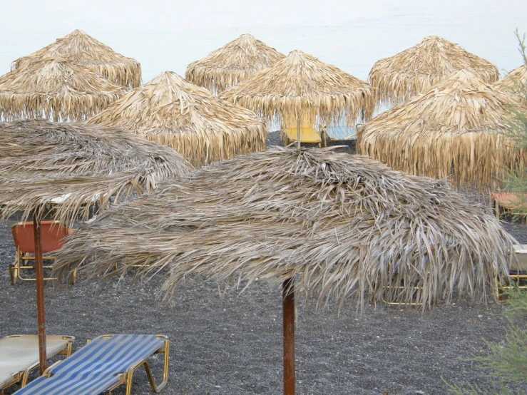 straw umbrellas and lounge chairs in the sand