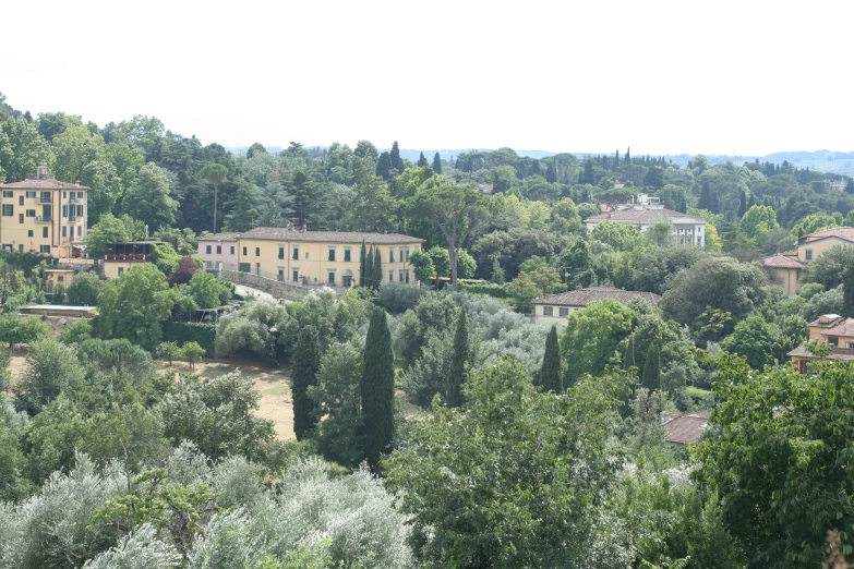 a view of the houses in the trees from above