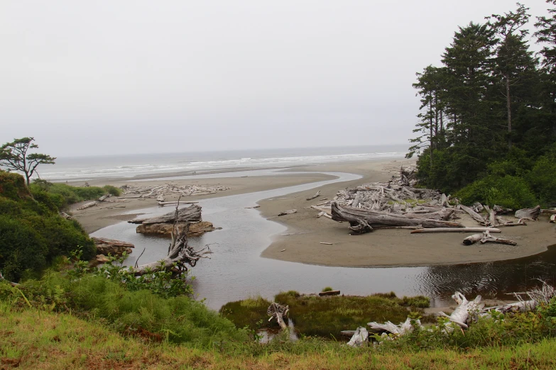 some logs laying on a beach in front of the ocean