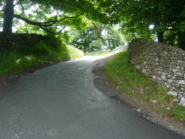 an empty road running through trees and stone walls