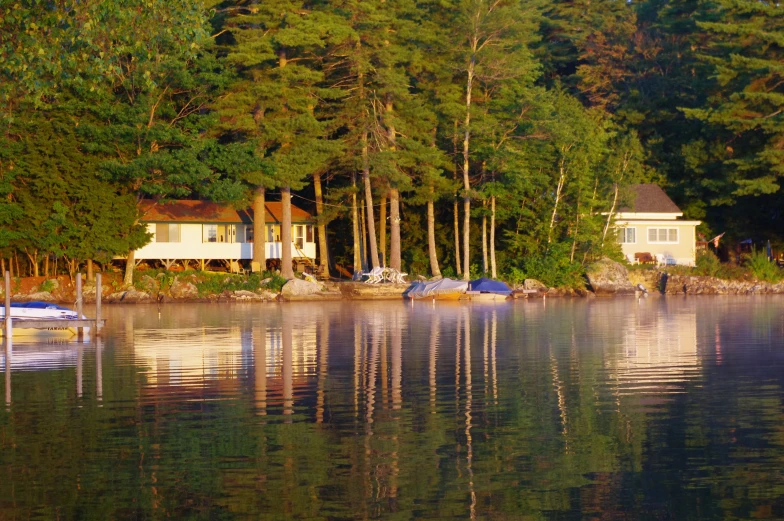 a house with trees surrounding a lake