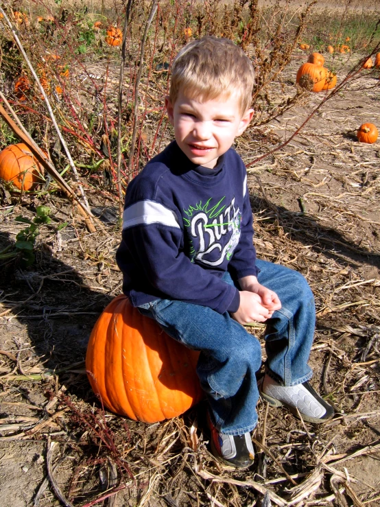 a small boy sits with his hand on a pumpkin