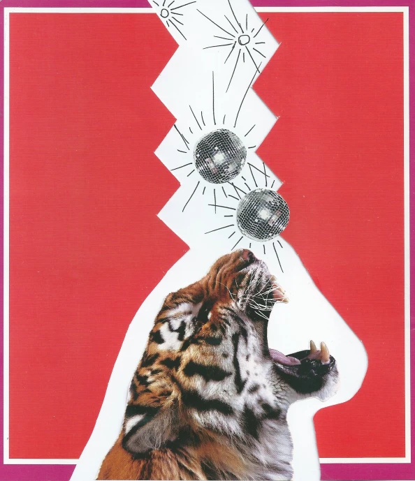 a poster with a tiger cub about to take a bite out of his paw