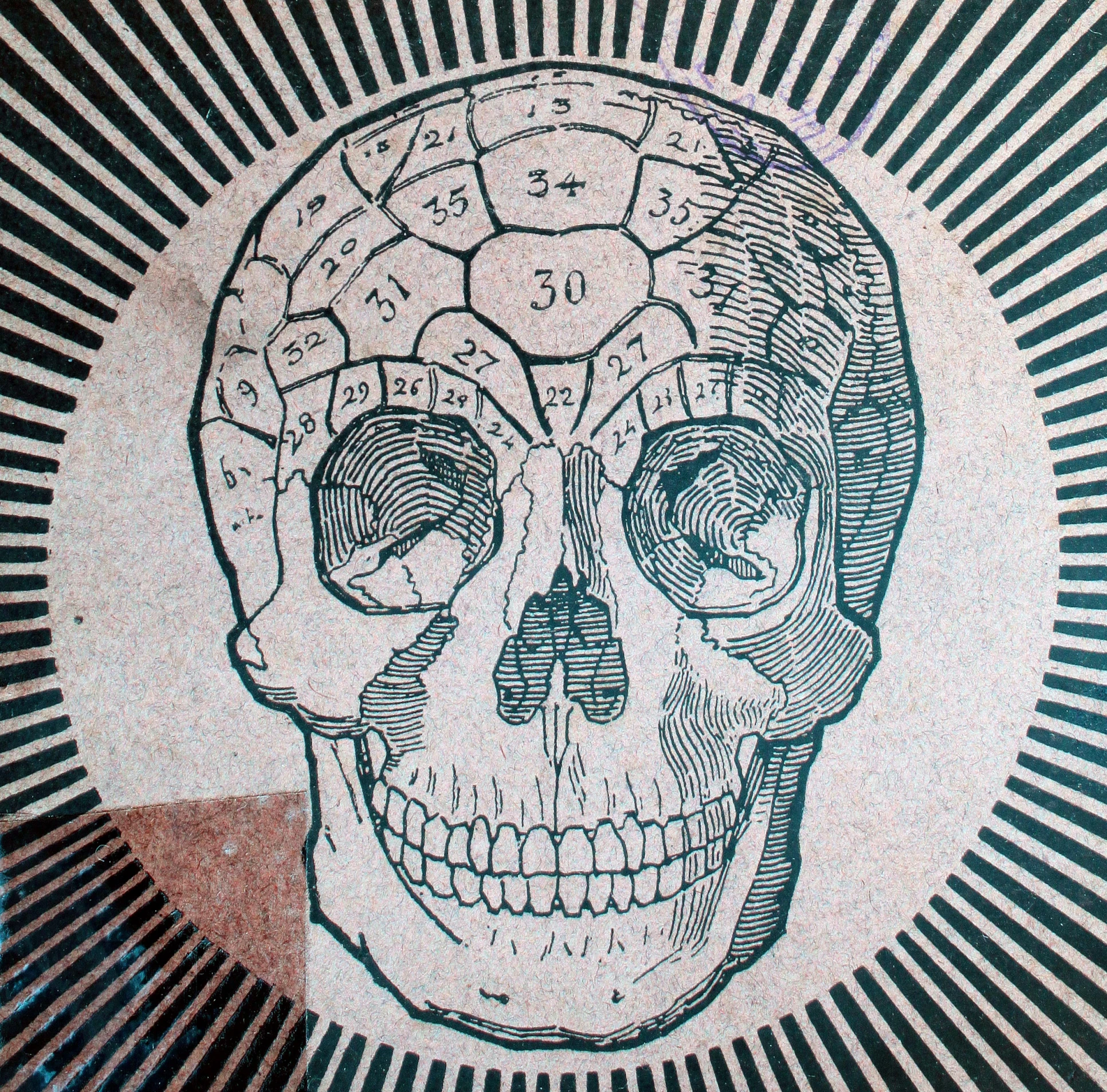 the skull is depicted in an intricate circular picture