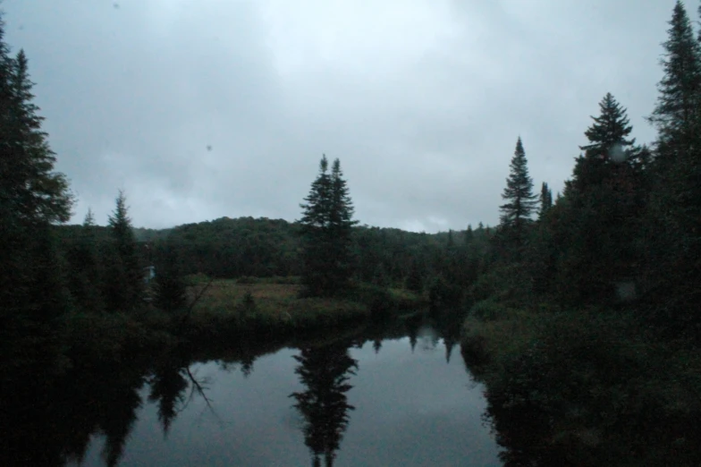 a calm river surrounded by lots of trees