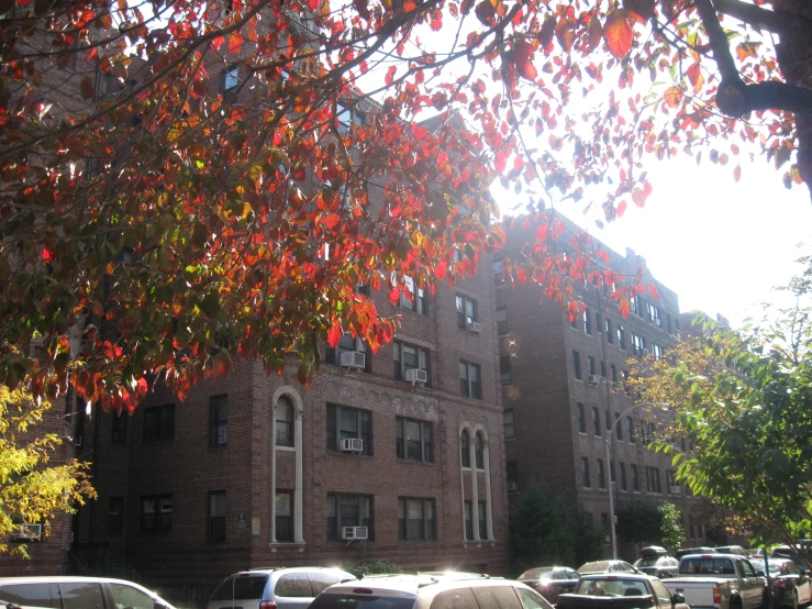 the building has red leaves on its nches