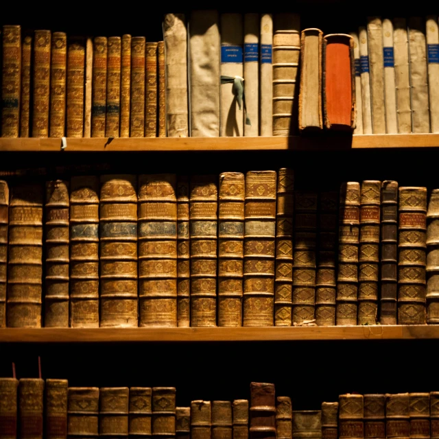 books are sitting on the shelves in a bookcase