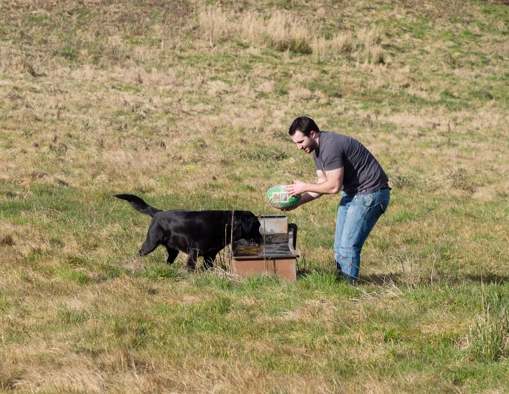 man preparing to fetch dog out of crate with frisbee