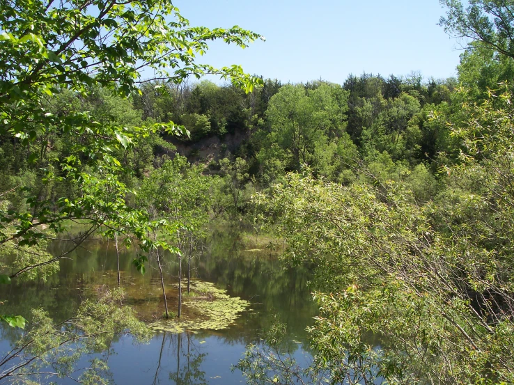 a lake surrounded by trees with small white stones